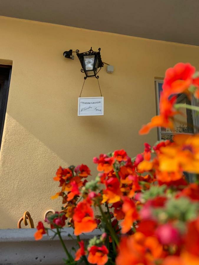 Il giardino segreto Appartamento Pisa Esterno foto